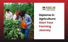 Diploma in Agriculture: Start Your Farming Journey